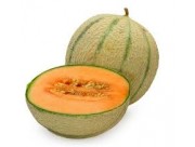 MELON CANTALOUP